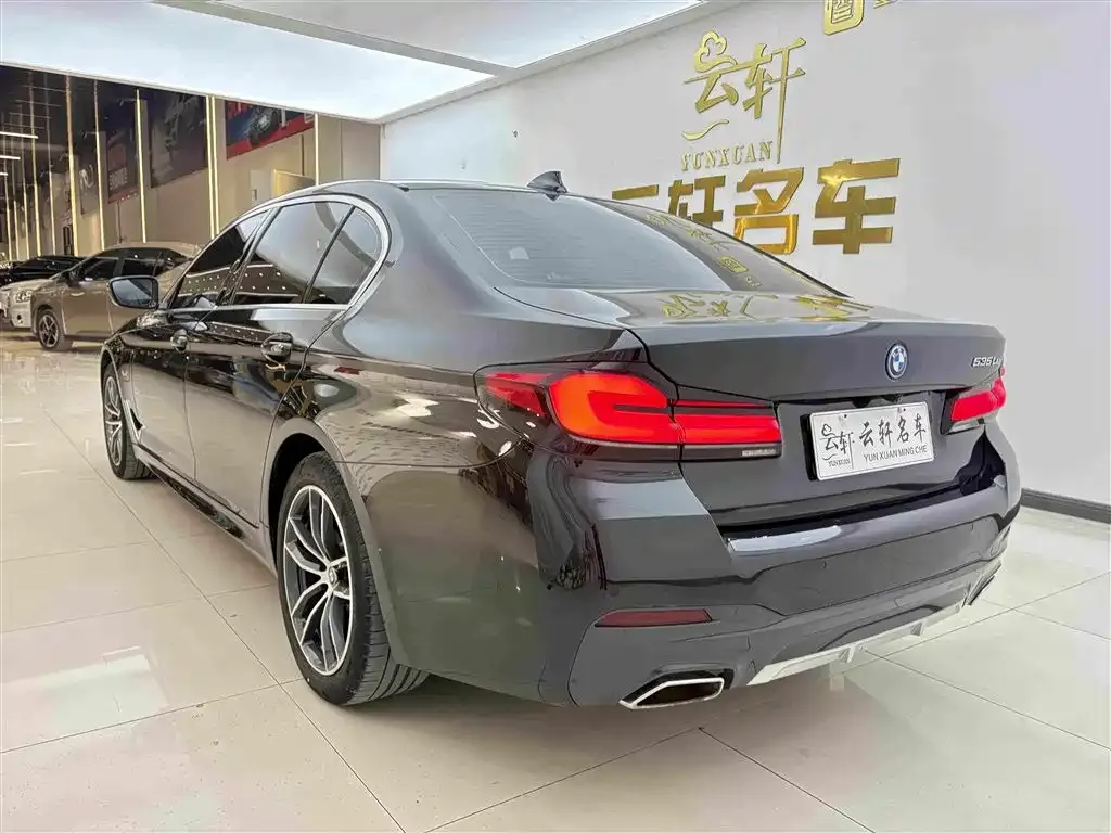 BMW 5 Series New Energy 2022 из CN, фото 7