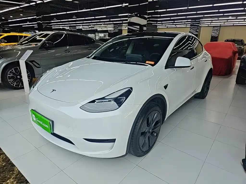 Tesla Model Y — фото 3