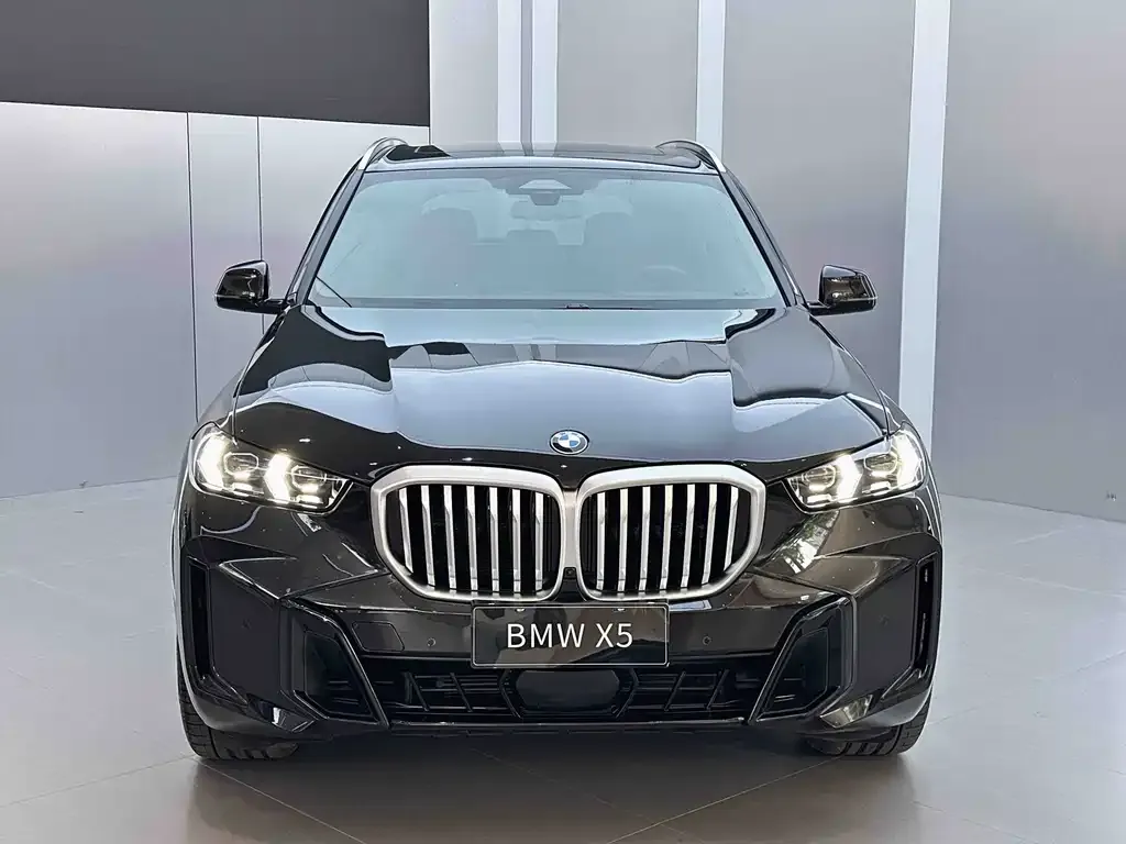 BMW X5 — фото 2
