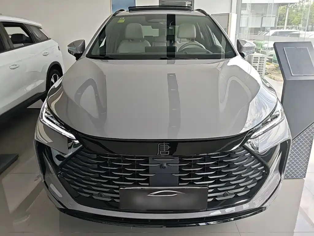 BYD Tang New Energy — фото 10