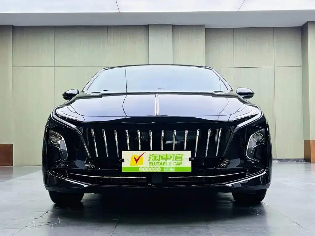Hongqi E-QM5 — фото 9