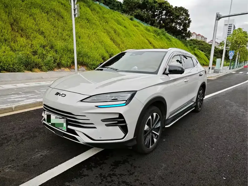 BYD PLUS New Energy — фото 1