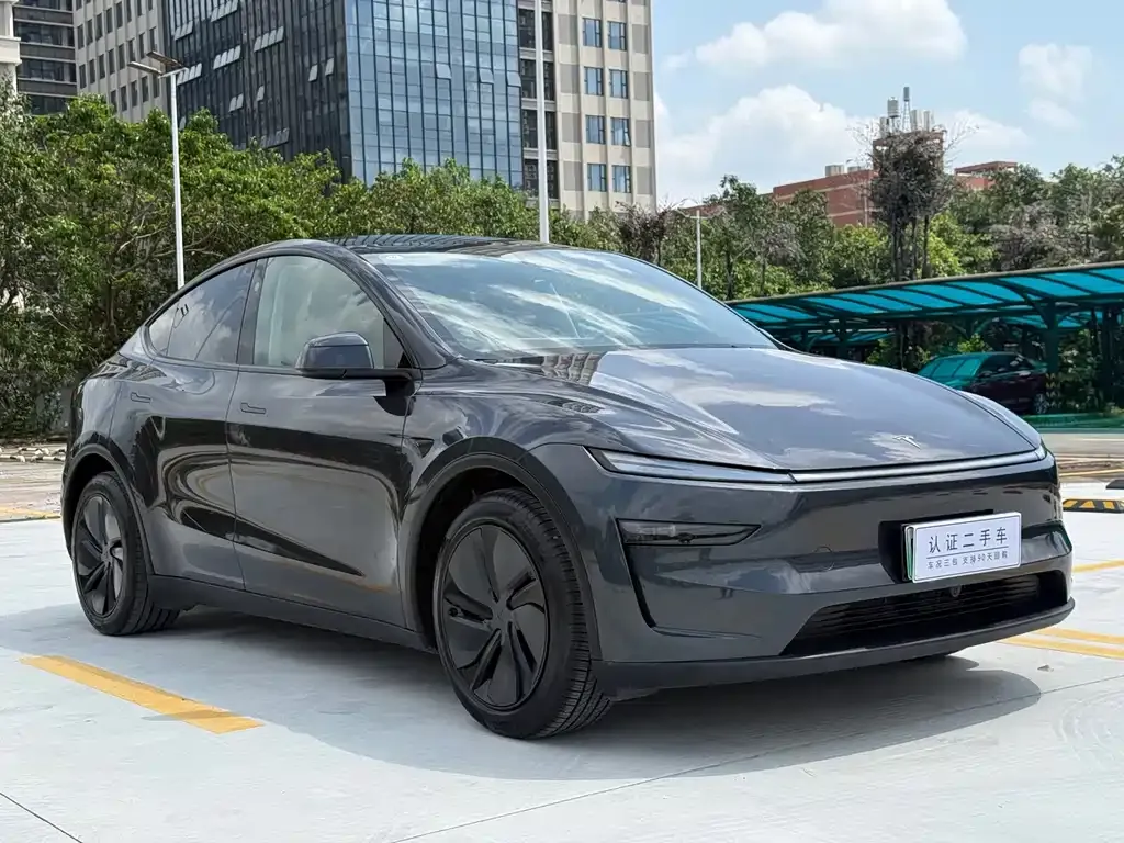 Tesla Model Y — фото 10