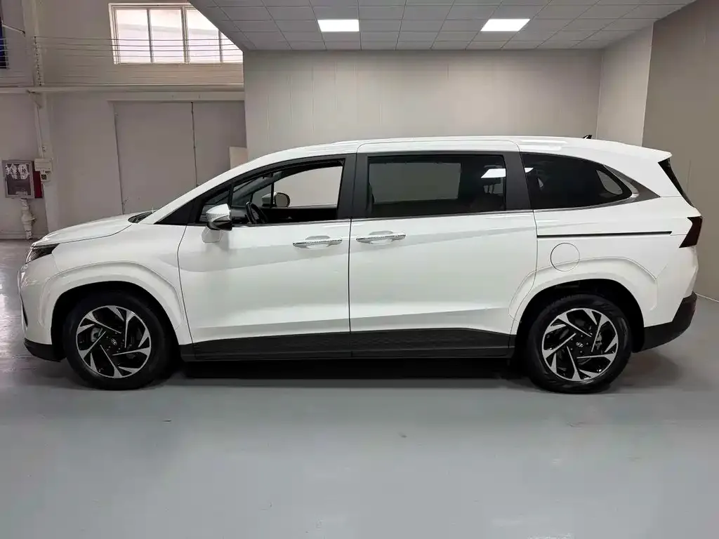 Hyundai Custo — фото 6