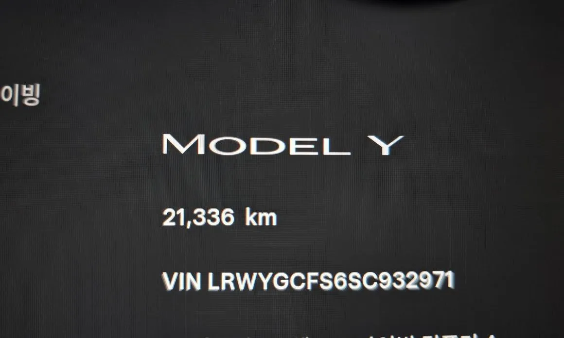 Tesla Model Y 2025 из KR, фото 2