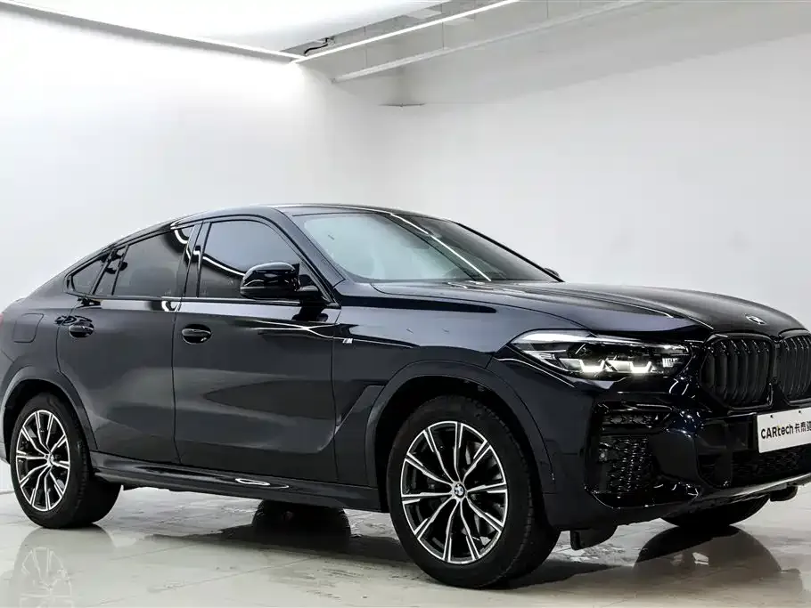 BMW X6 — фото 10