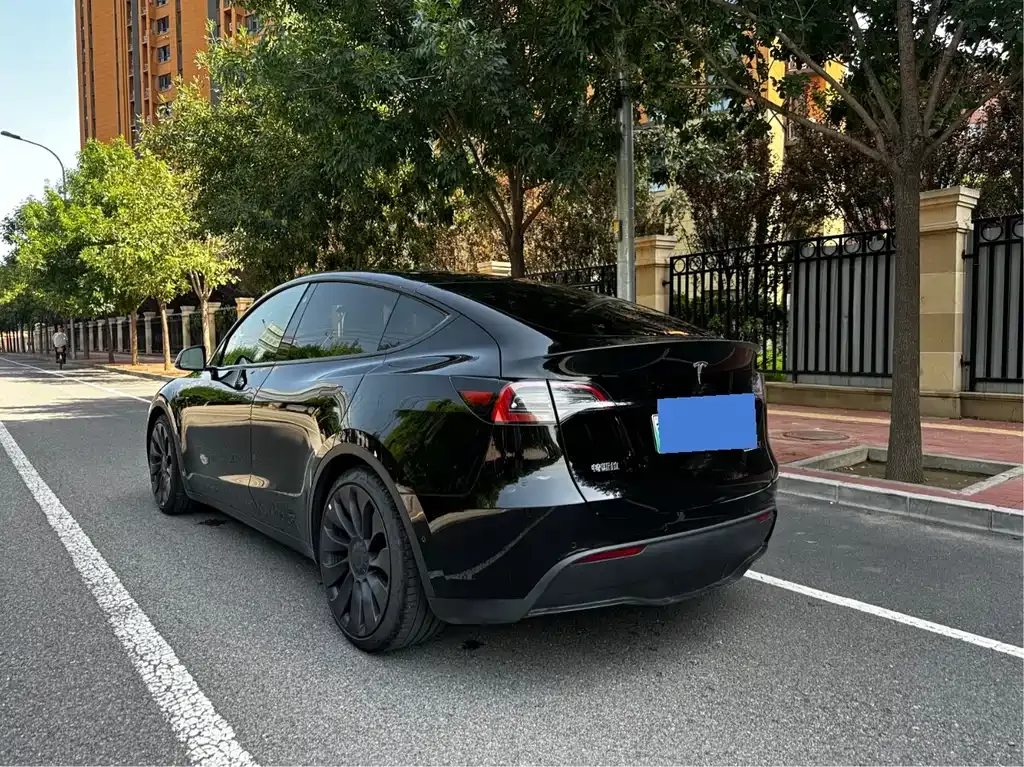 Tesla Model Y — фото 2