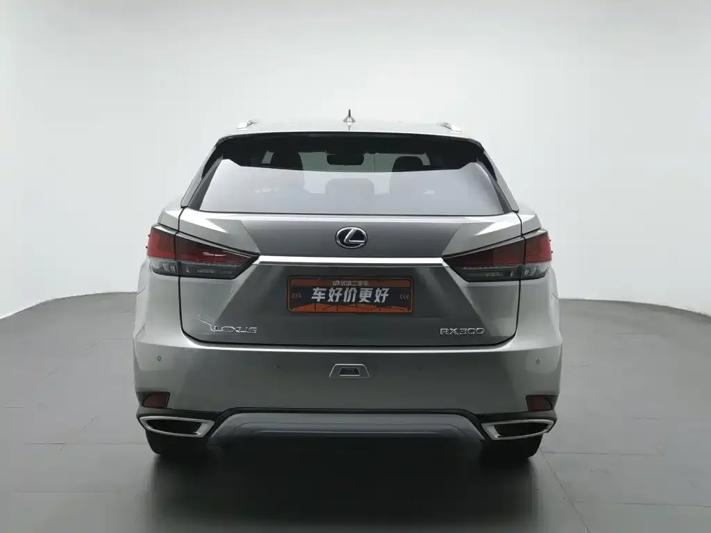 Lexus RX 2021 из CN, фото 5