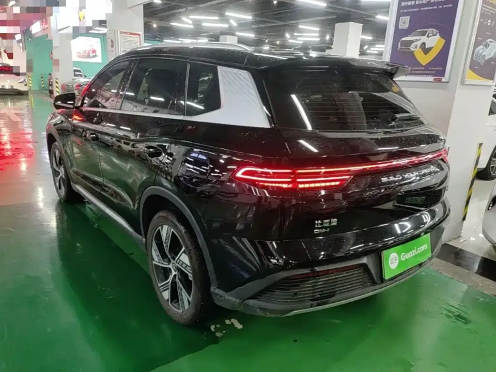 BYD Pro New Energy — фото 10