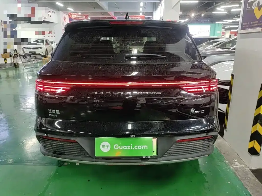 BYD Pro New Energy — фото 3