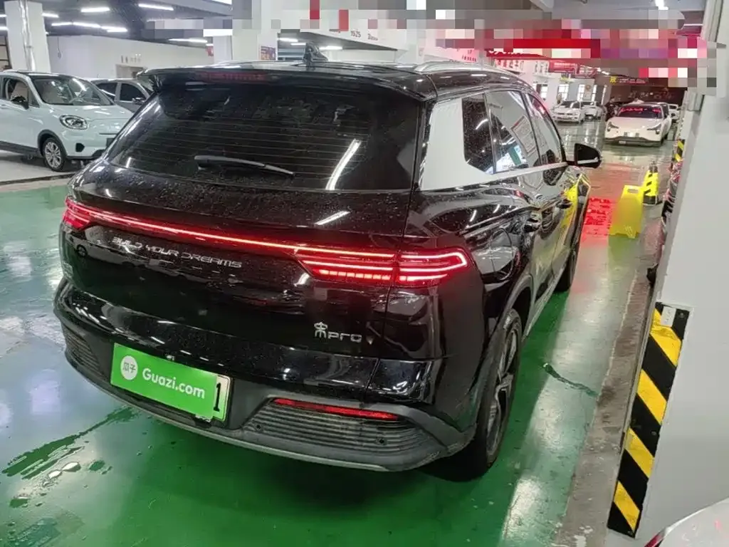 BYD Pro New Energy — фото 5