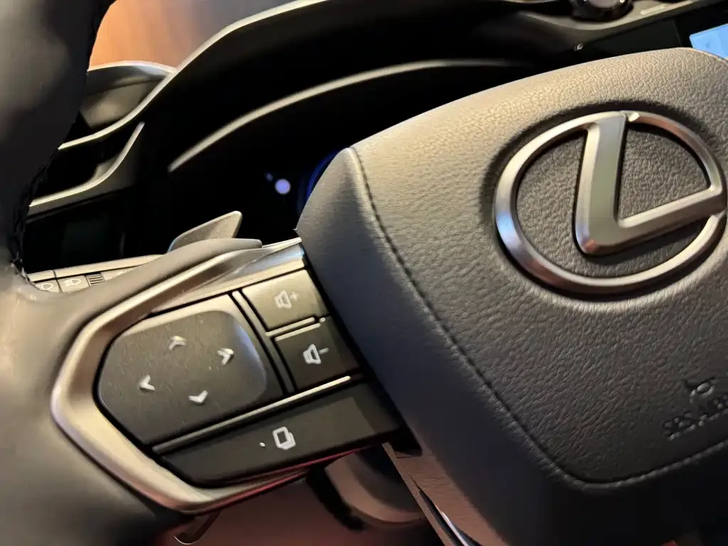 Lexus RZ — фото 9