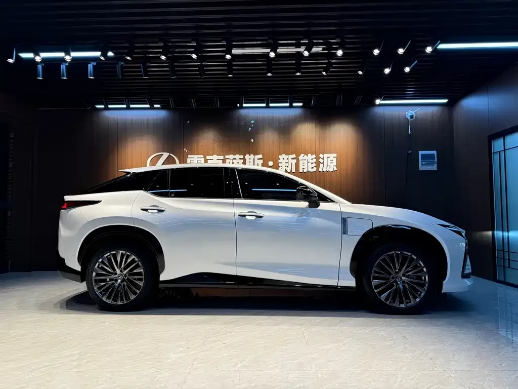 Lexus RZ — фото 10