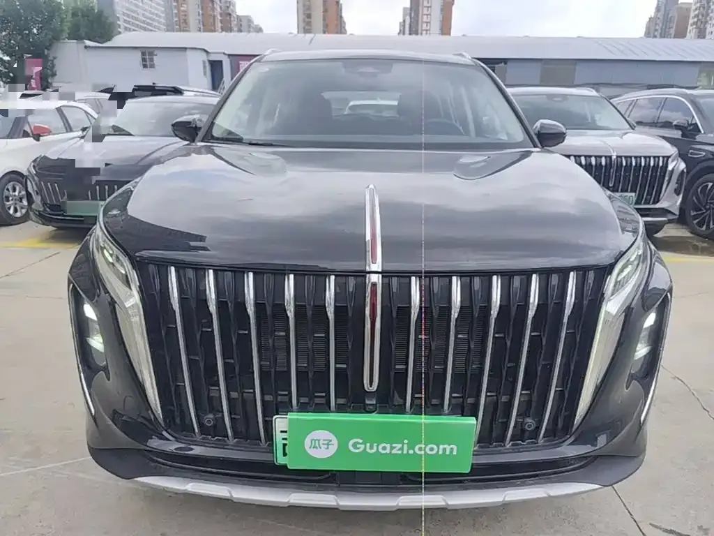 Hongqi HS7 PHEV 2024 из CN, фото 8
