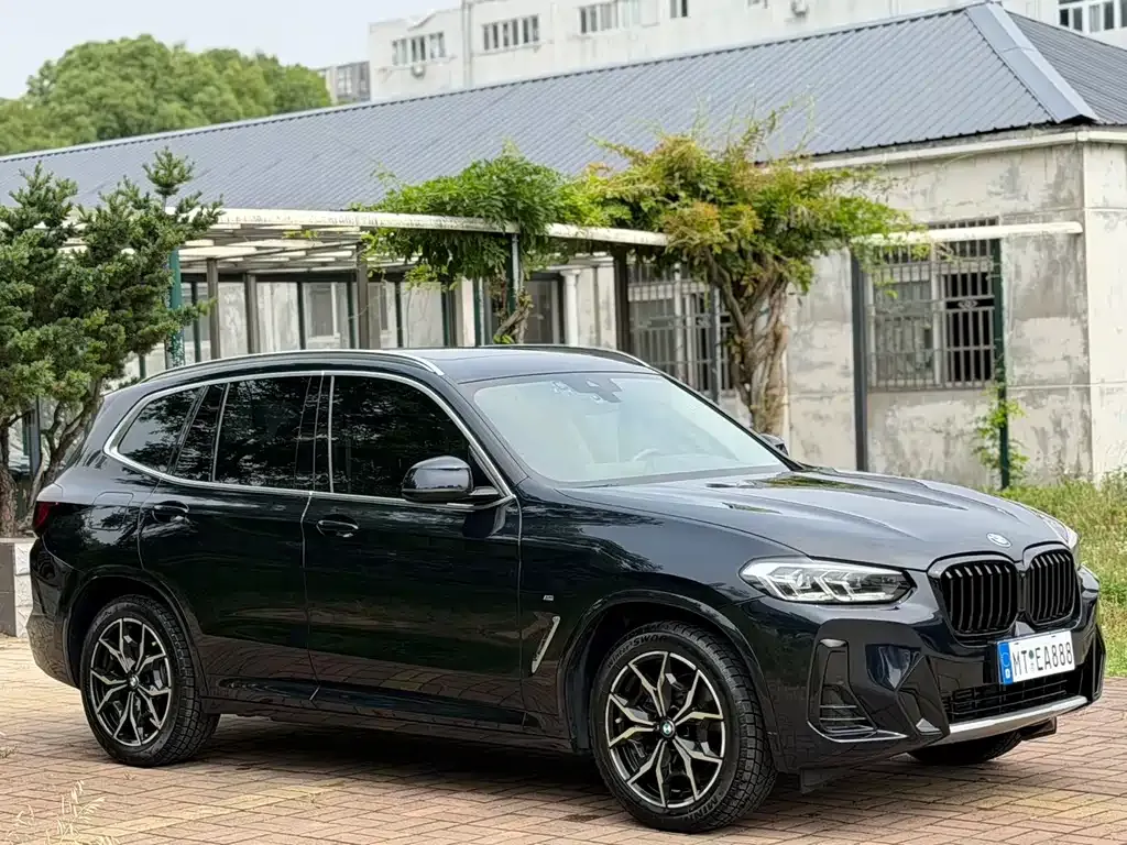 BMW X3 2024 из CN, фото 6