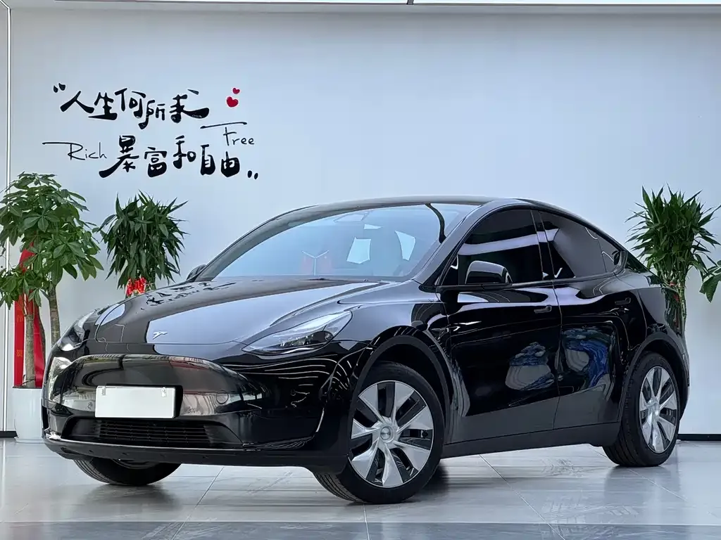 Tesla Model Y — фото 1