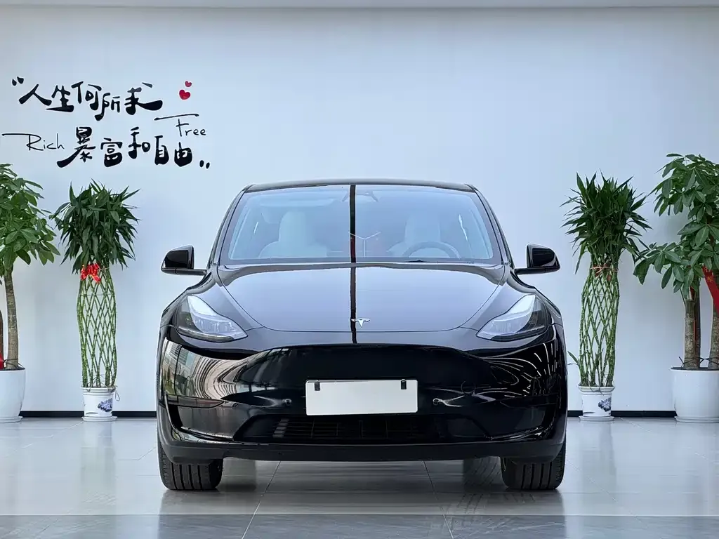 Tesla Model Y — фото 8