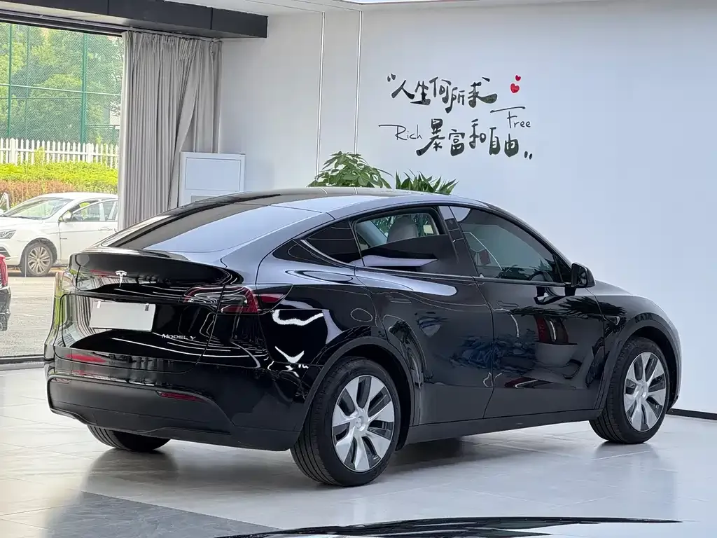 Tesla Model Y — фото 10