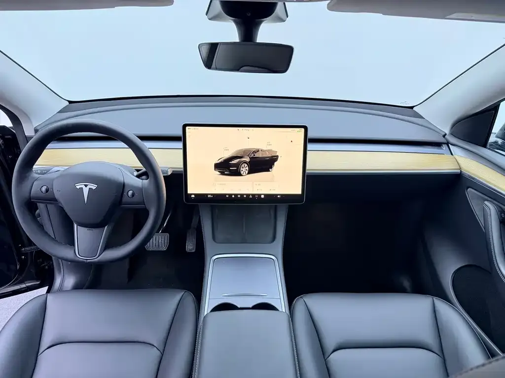 Tesla Model Y — фото 3