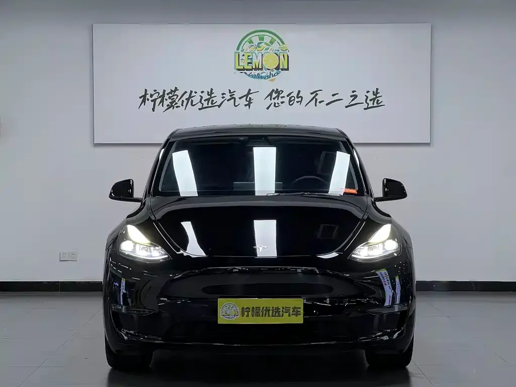 Tesla Model Y — фото 10