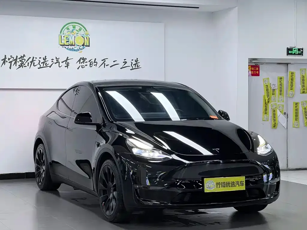 Tesla Model Y — фото 9