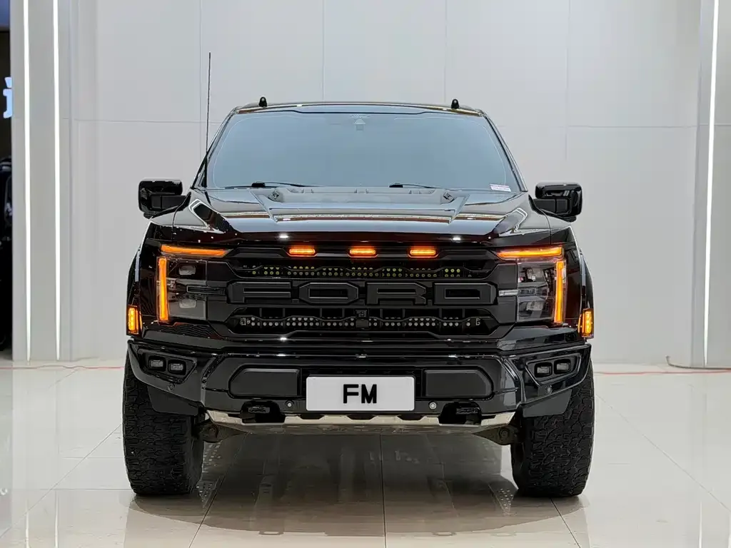 Ford F-150 Raptor — фото 1