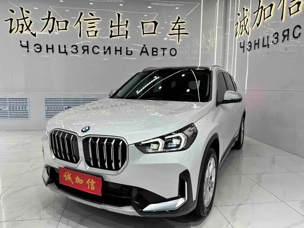 BMW X1 — фото 1