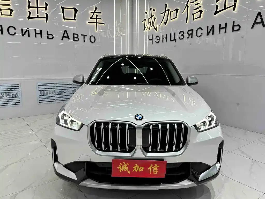BMW X1 — фото 10