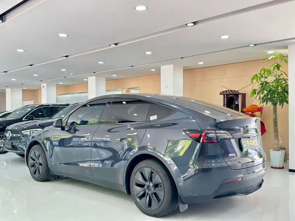 Tesla Model Y — фото 8