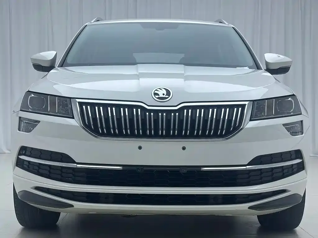 Skoda Karoq — фото 6
