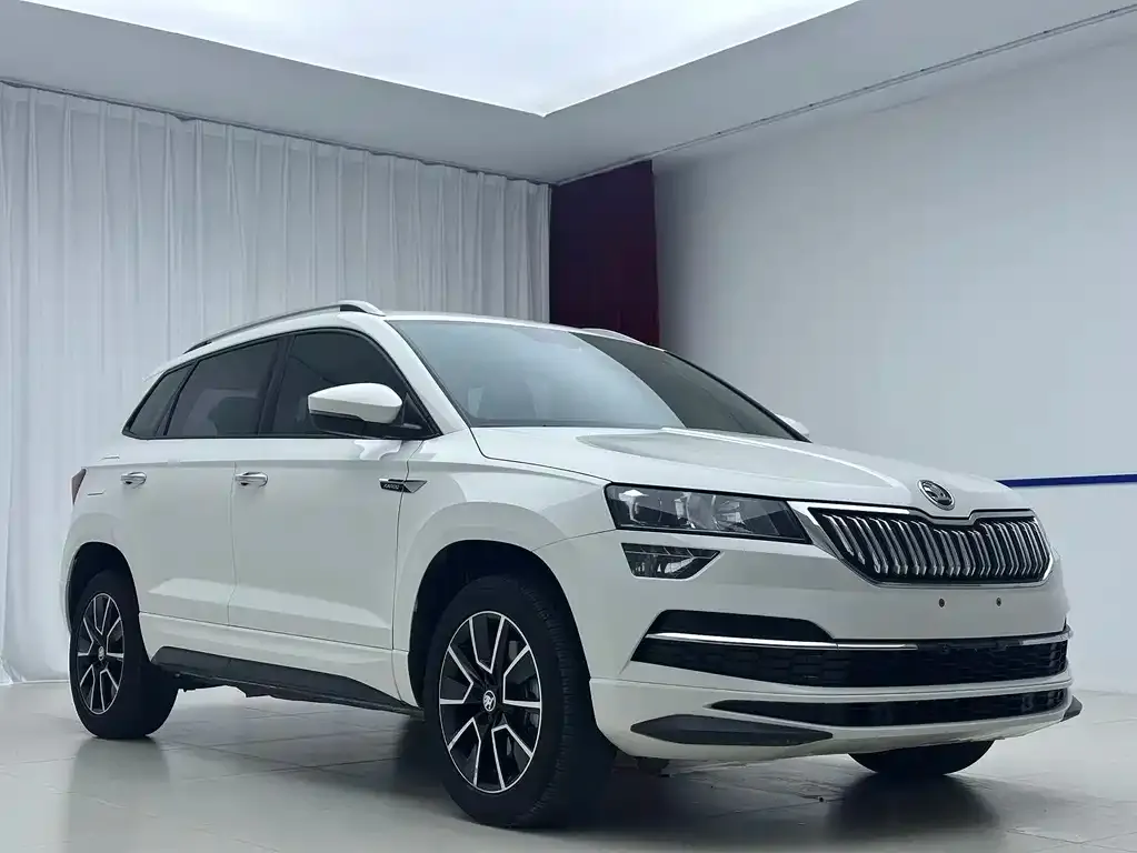 Skoda Karoq — фото 8