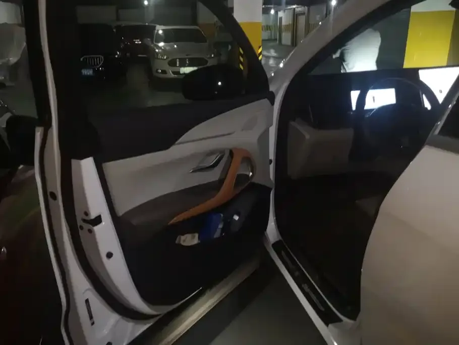 BYD Pro New Energy — фото 4