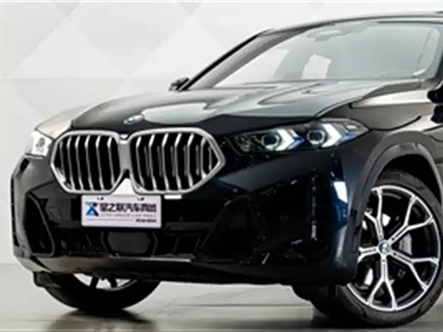 BMW X6 — фото 10