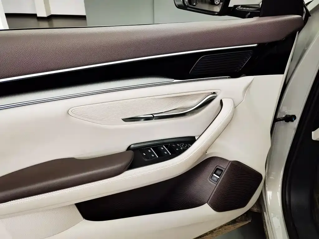 BYD PLUS New Energy — фото 4
