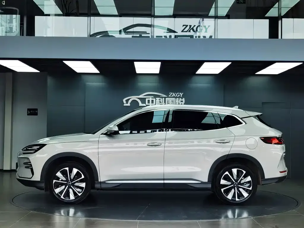 BYD PLUS New Energy — фото 5