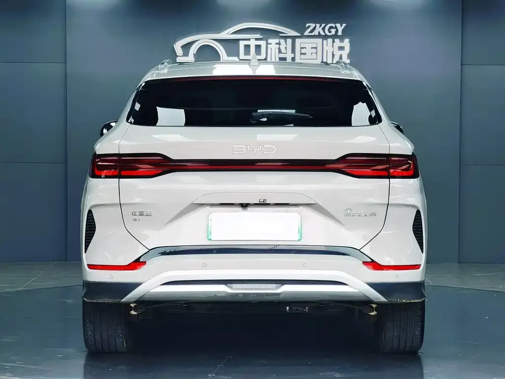 BYD PLUS New Energy — фото 3