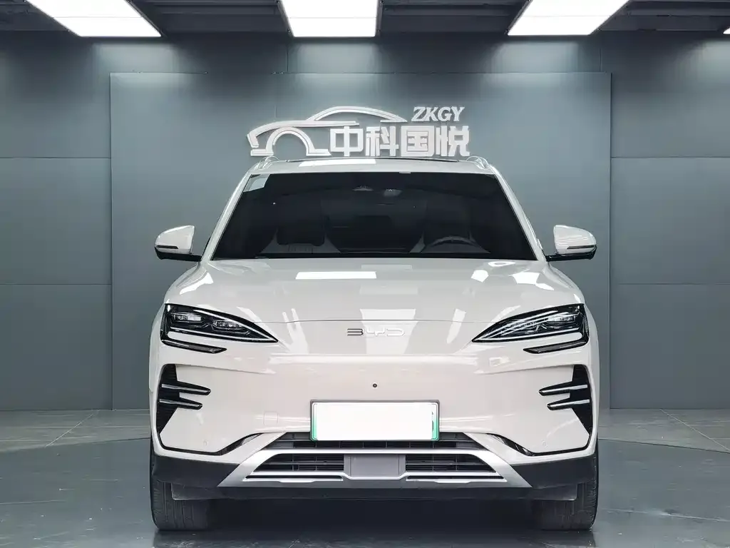 BYD PLUS New Energy — фото 2