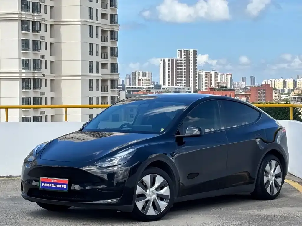 Tesla Model Y — фото 1