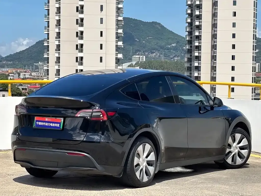 Tesla Model Y — фото 10