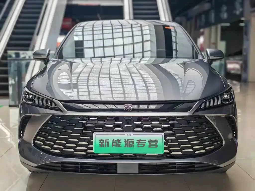 BYD Qin PLUS — фото 1