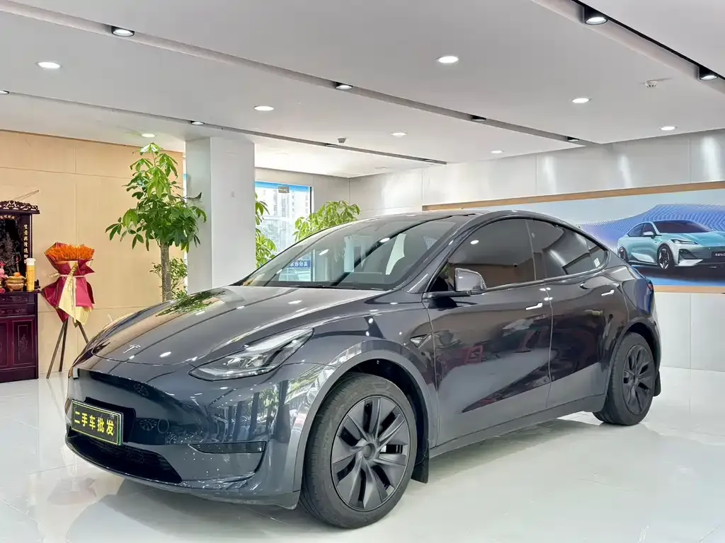 Tesla Model Y — фото 1