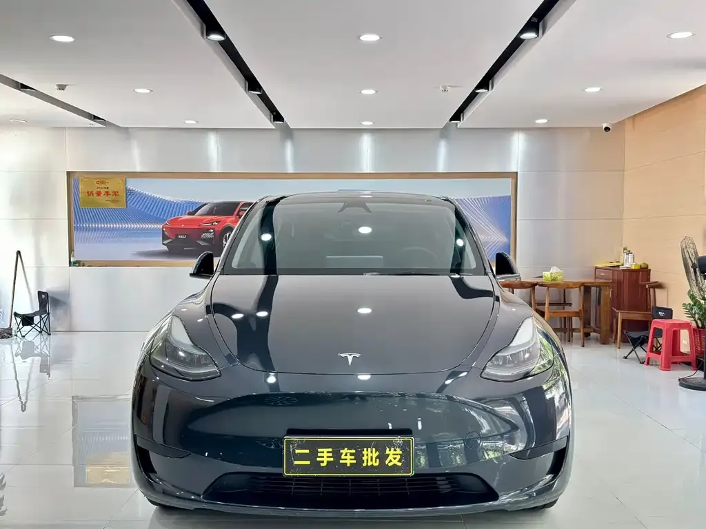 Tesla Model Y — фото 7