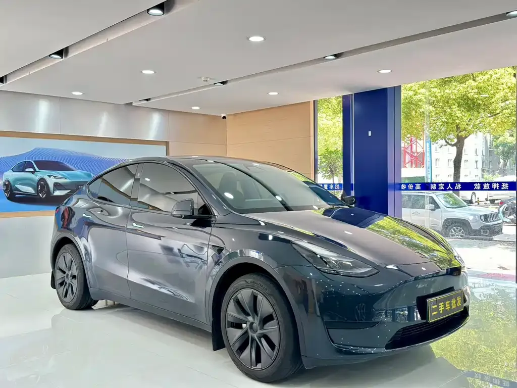 Tesla Model Y — фото 5