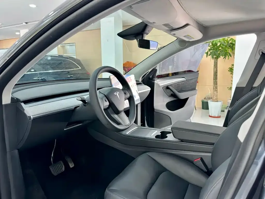 Tesla Model Y — фото 6