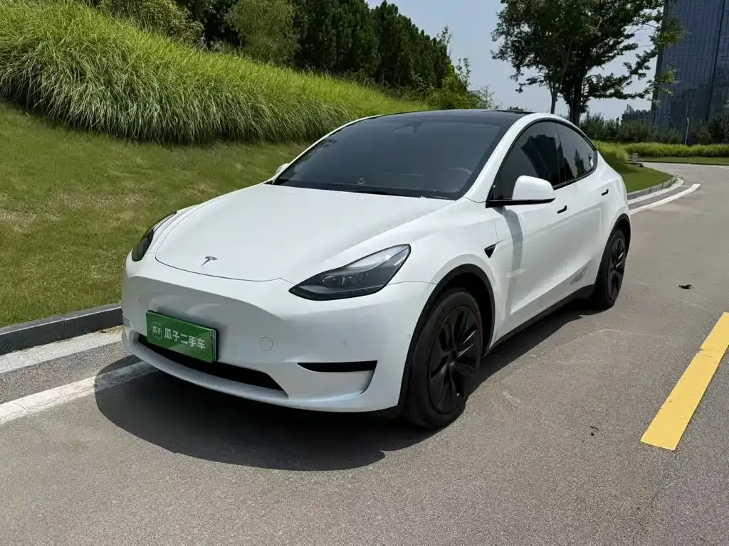 Tesla Model Y — фото 1