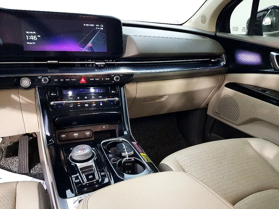 Kia Carnival — фото 10
