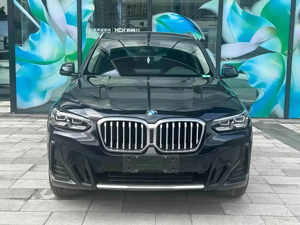 BMW X3 — фото 1
