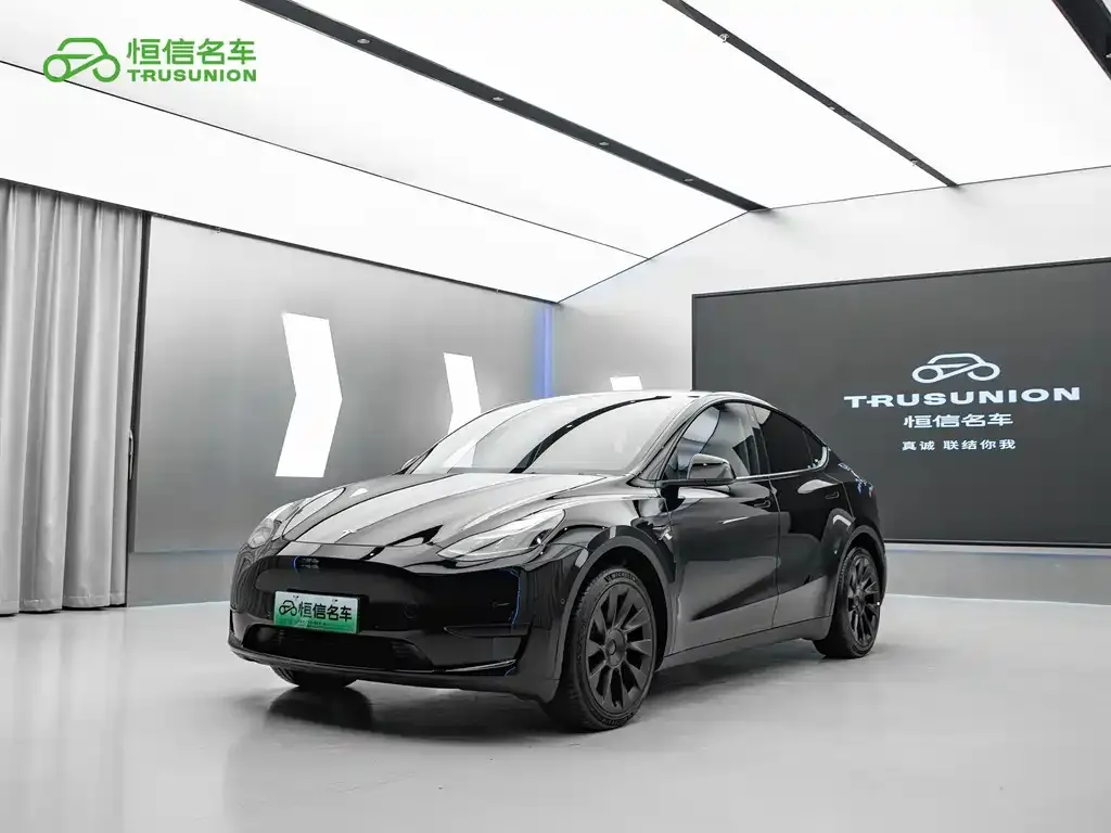 Tesla Model Y — фото 1