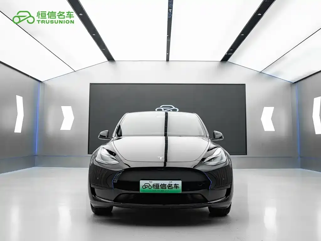 Tesla Model Y — фото 2