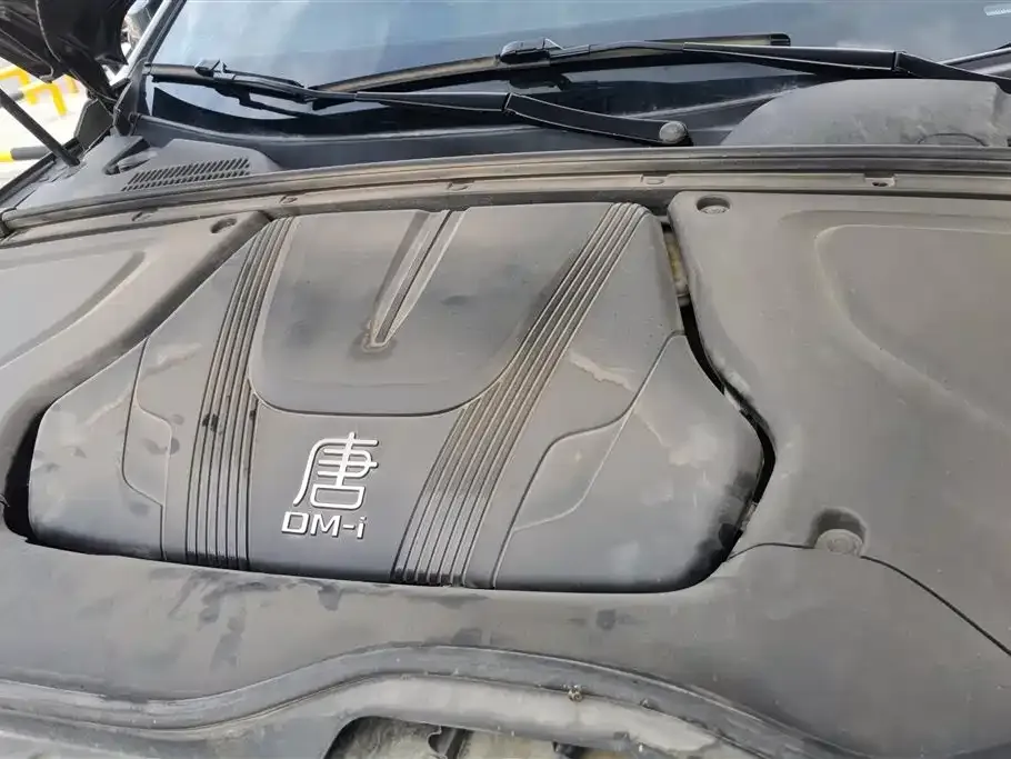 BYD Tang New Energy 2023 из CN, фото 2